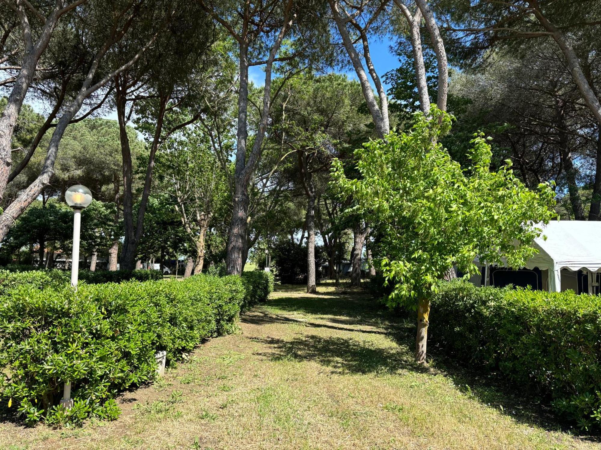 Costa D'Argento - Camping Village Club Capalbio Exteriér fotografie